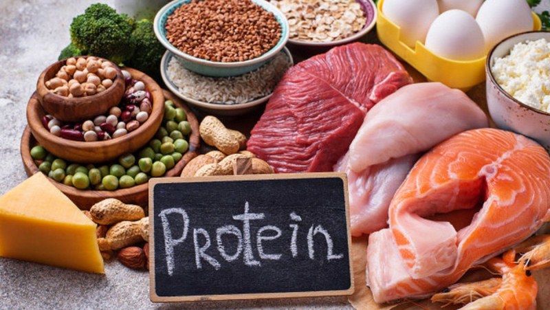 Bữa ăn nên đa dạng nguồn Protein